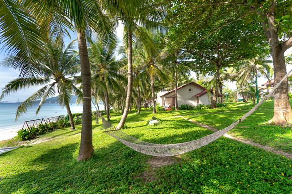 Les jeunes et le tourisme écologique : Tendances et opportunités